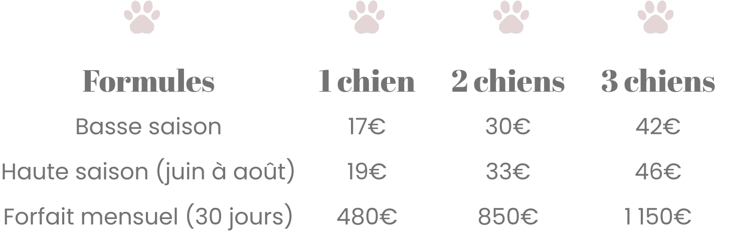 Tarifs de la pension I Love My Dog Tarifs de la pension I Love My Dog